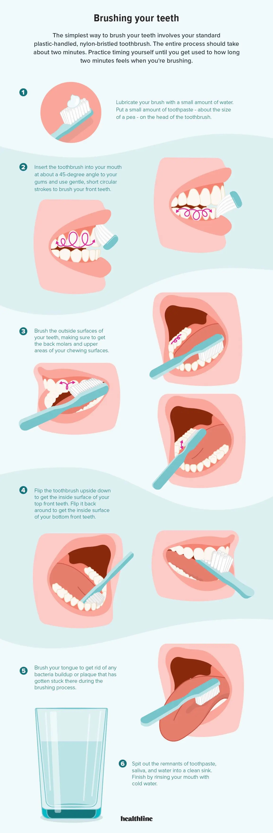 How to Brush Your Teeth