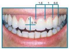 Tooth Proportion​